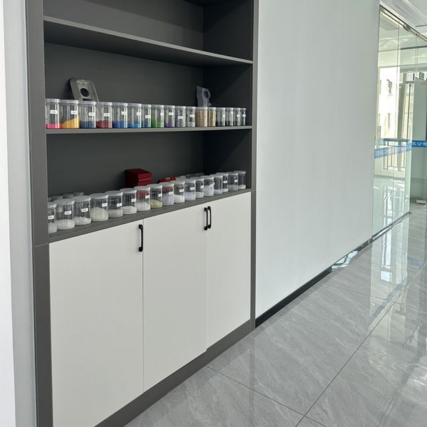 Porcellana Shenzhen Dingsheng Plasticization Co., Ltd. Profilo Aziendale